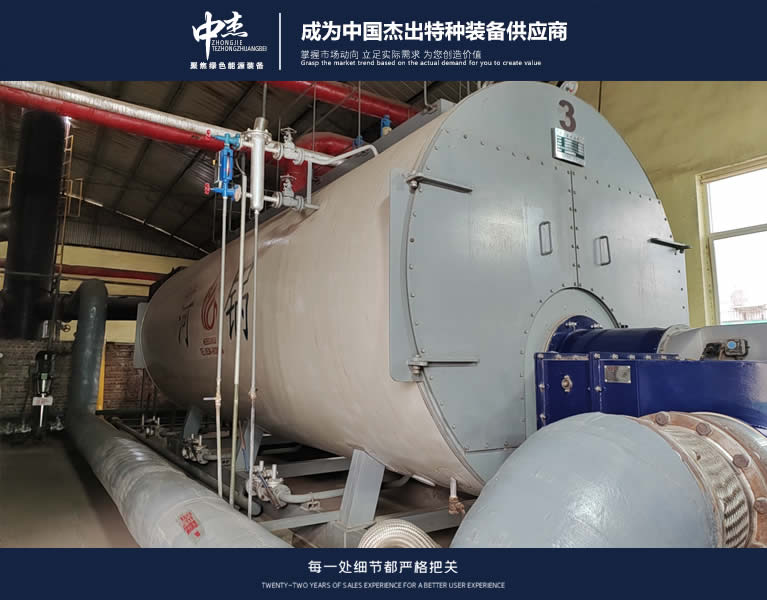 河北久鵬制藥1臺6噸兩臺10噸燃?xì)庹羝仩t